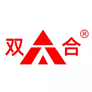 双合资讯